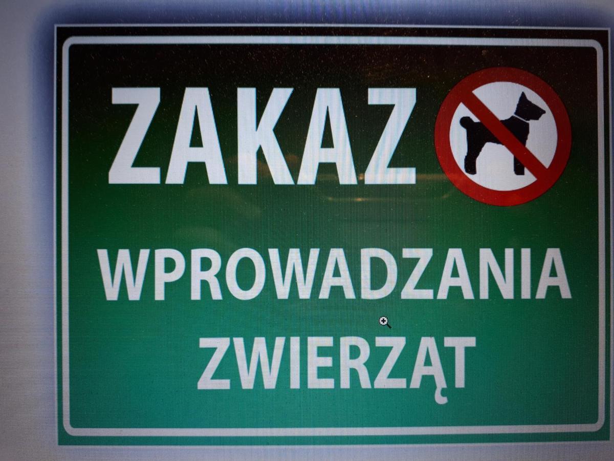 Głogów Przy Chopina Apartamento Exterior foto